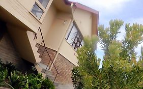 Zamar Guest House